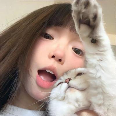 毫不神圣